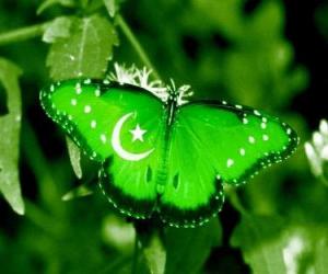 Puzzle Σημαία του Πακιστάν
